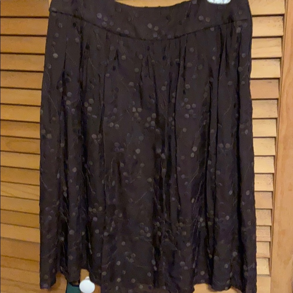 Talbots Silk Skirt with Embroidery